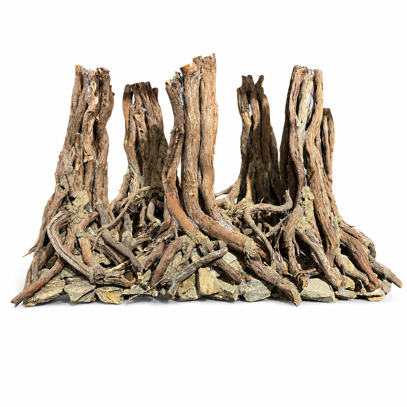 Dark Forest Roots Akvaryum Dekoru