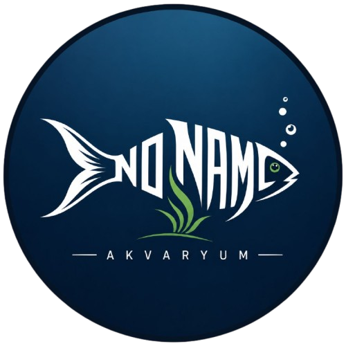 No Name Akvaryum